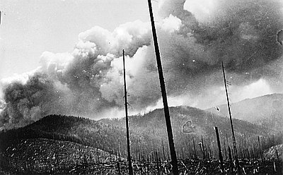 https://www.oregonencyclopedia.org/media/uploads/thumbnails_medium/Tillamook_Burn_bb004576.jpg